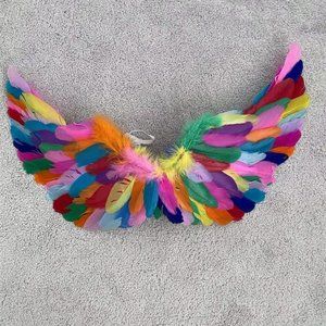 2022 Feather Wings rainbow feather wings